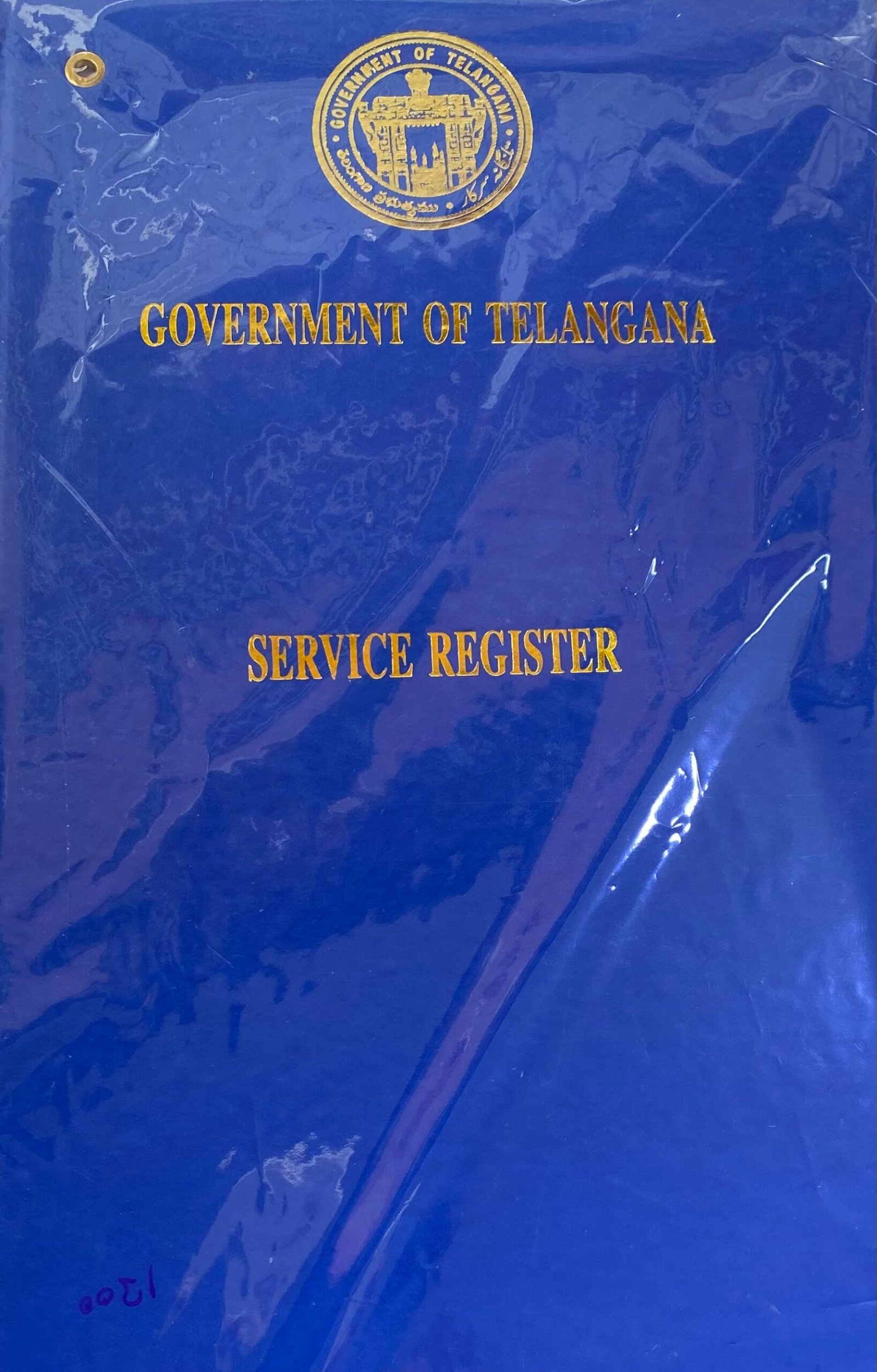 Government of Telangana Service Register
