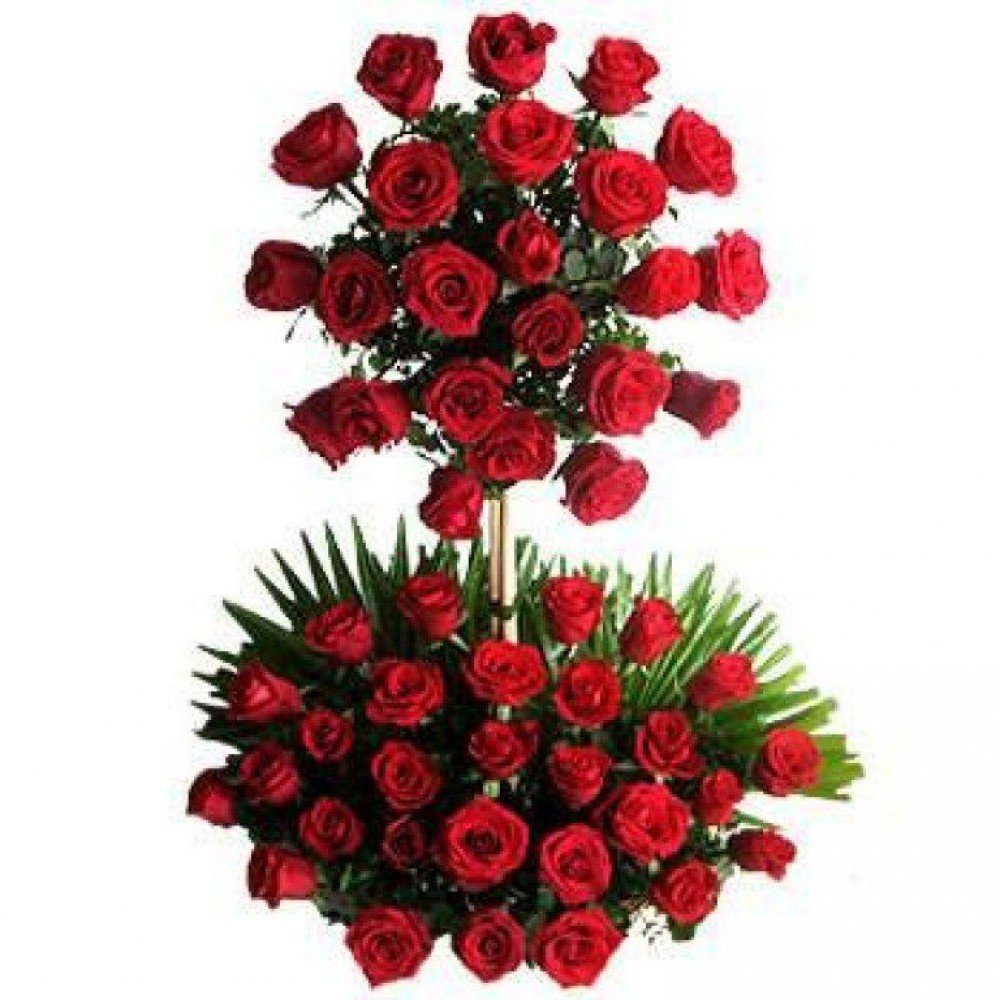 Two Tier Arrangement